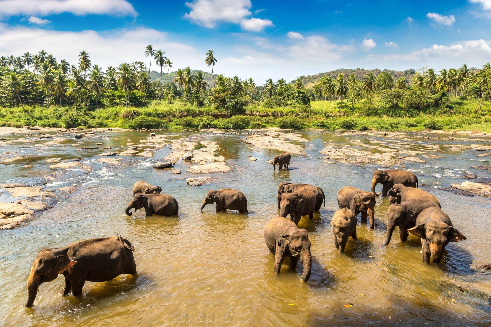 Sri Lanka Heritage & Hills Escape